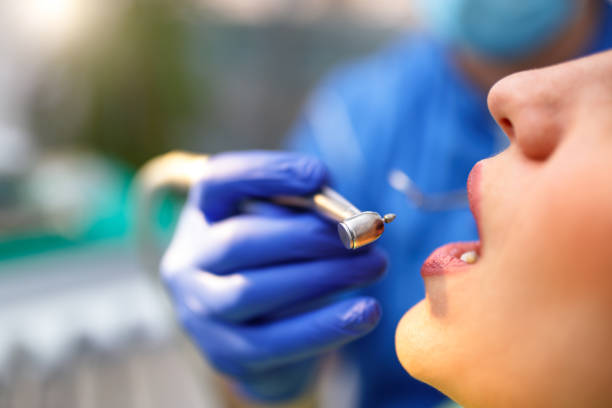 Professional Holistic Dental Care Services in Bellevue, WA